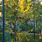 Penzion Garden Përmet