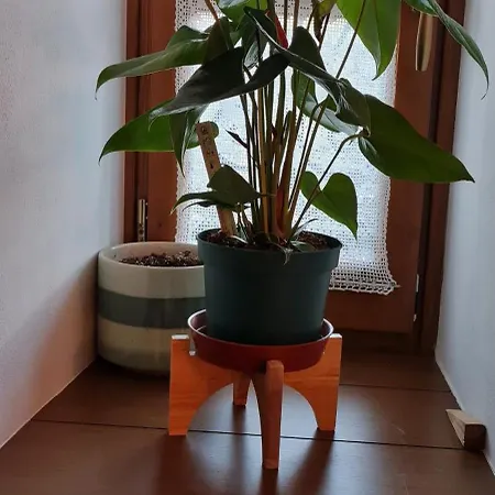 Pensión Garden Përmet