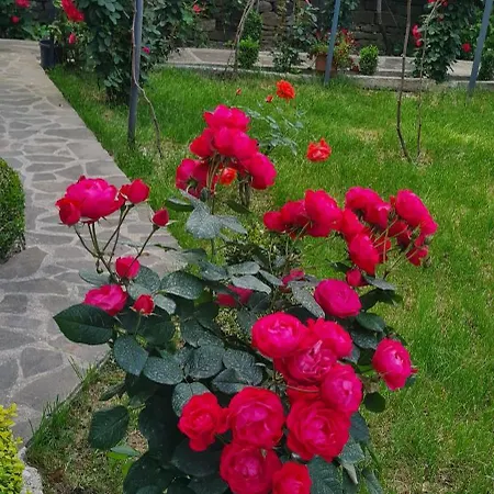 Garden Maison d'hôtes 4*