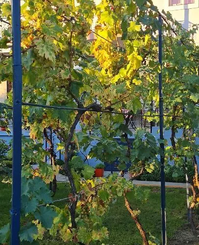Πανσιόν Garden Πρεμετή