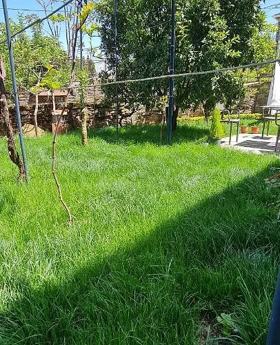 Garden Πανσιόν 4*