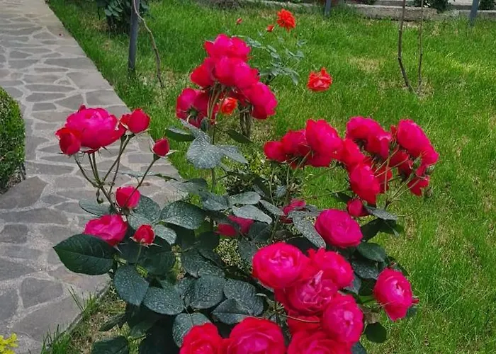 Garden 게스트하우스 4*