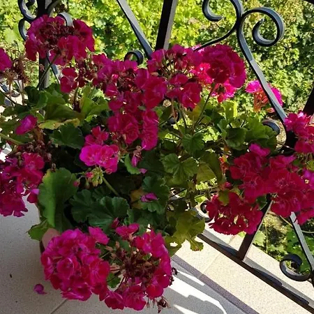 Garden Gasthof *