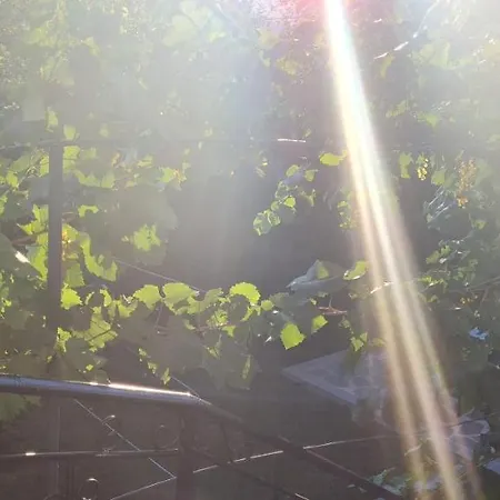 Garden Përmet
