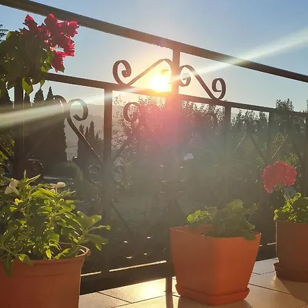 بيت ضيافة Garden