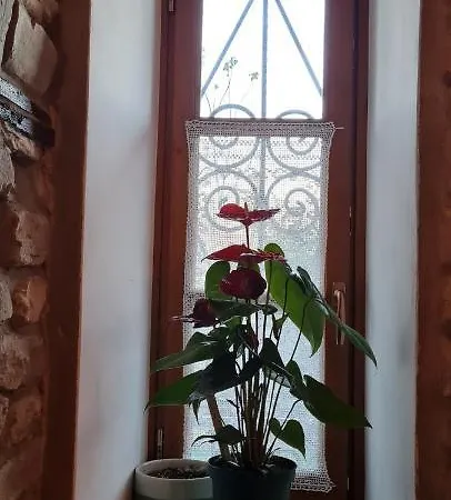 Garden بيت ضيافة Përmet