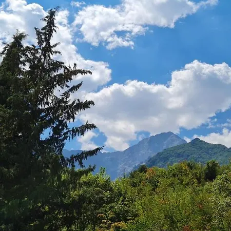 بيت ضيافة Garden