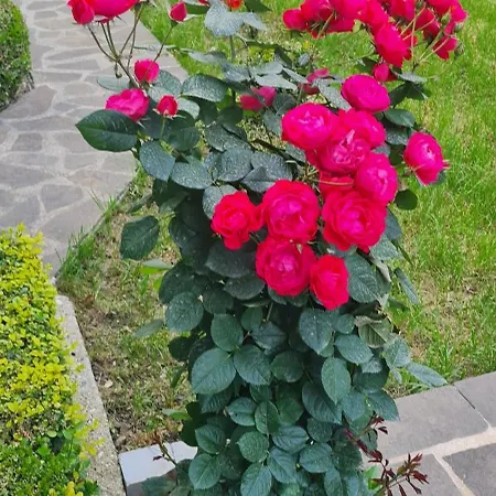 Pensionat Garden Përmet