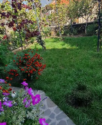 招待所 Garden 4*